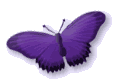 butterfly.gif